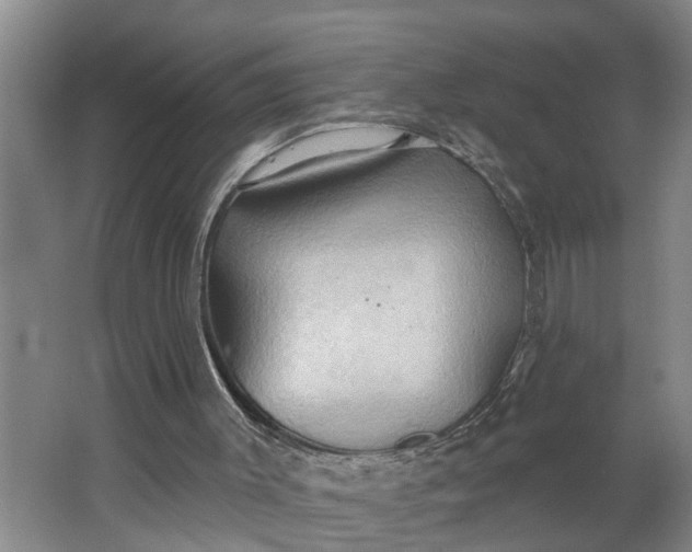 X0000062890003200601271700