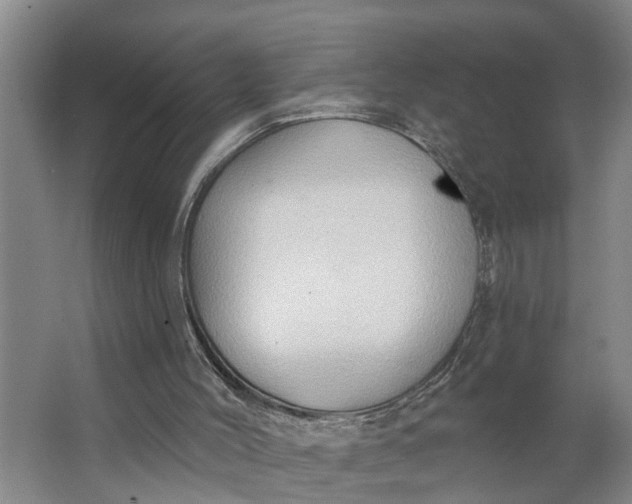 X0000062890004200601271659