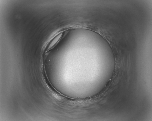 X0000062890005200601271659