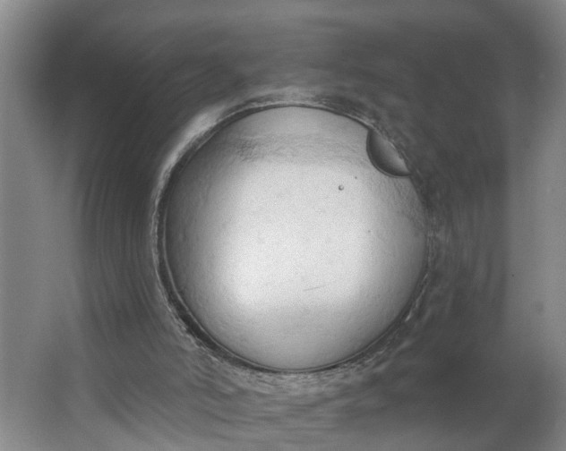 X0000062890006200601271659