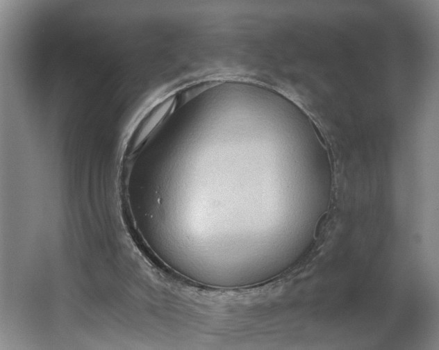 X0000062890007200601271659