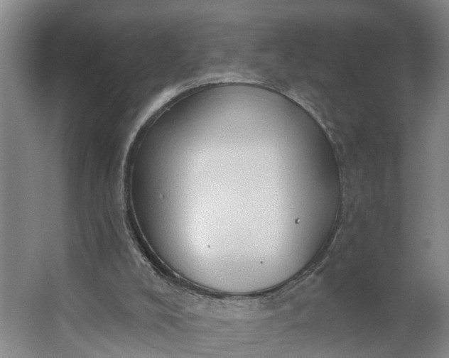 X0000062890008200601271659