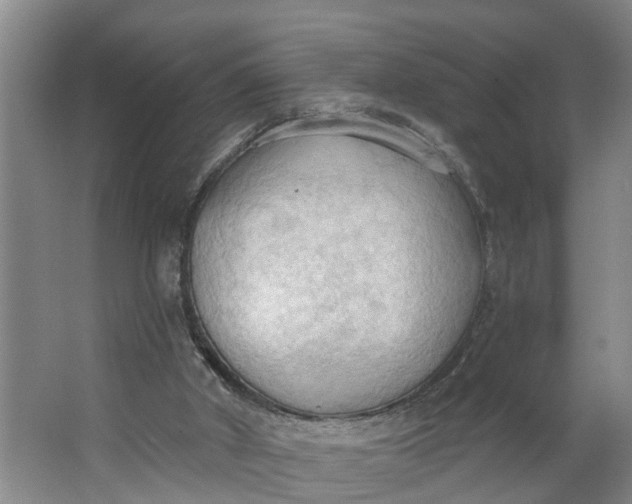 X0000062890010200601271659