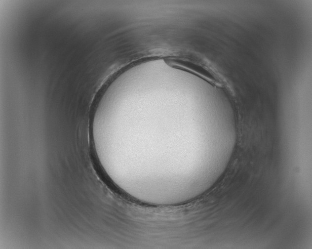 X0000062890011200601271659