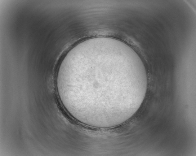 X0000062890012200601271659