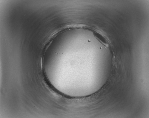 X0000062890013200601271659