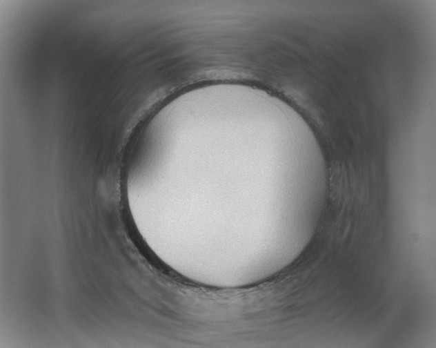 X0000062890015200601271659