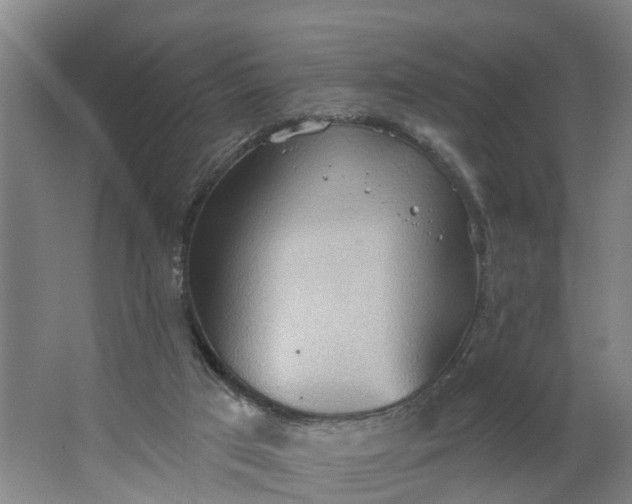 X0000062890017200601271659