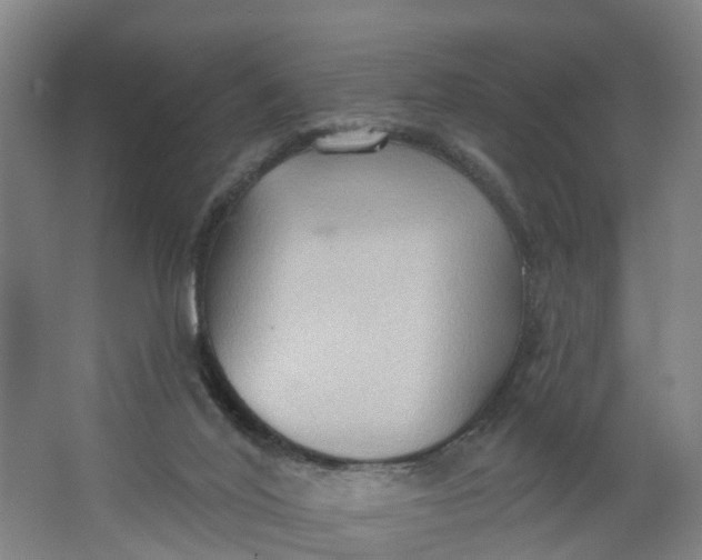 X0000062890020200601271659