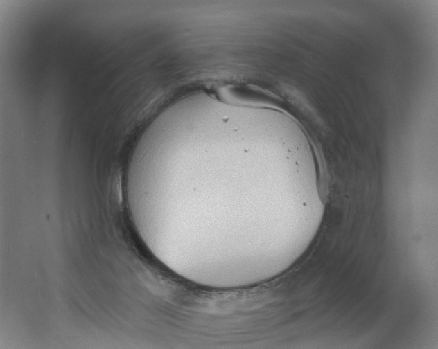 X0000062890021200601271659