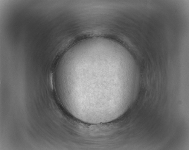 X0000062890022200601271659