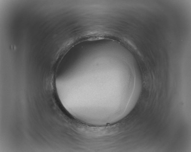 X0000062890023200601271659