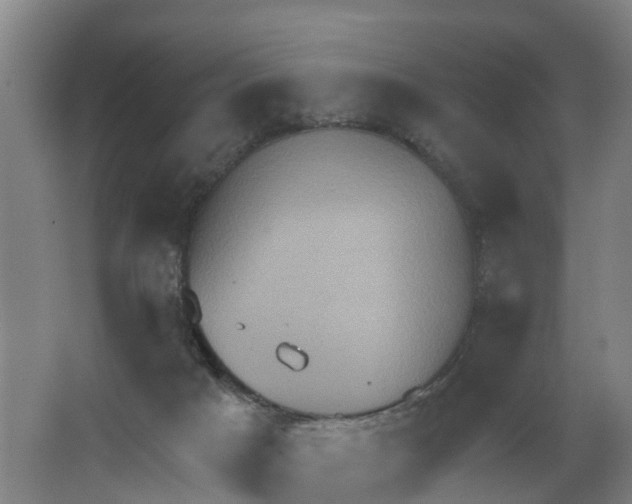 X0000062890025200601271659