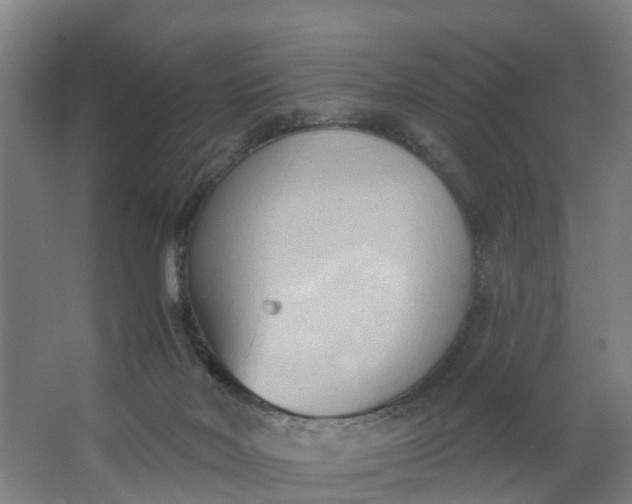 X0000062890026200601271659