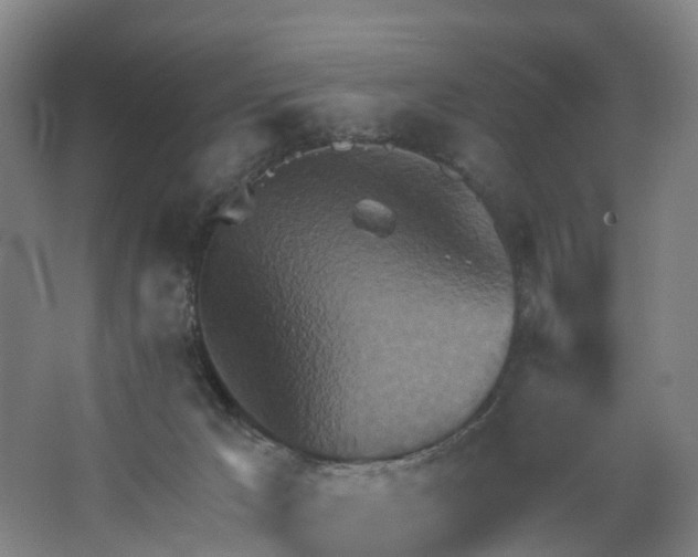 X0000062890029200601271659