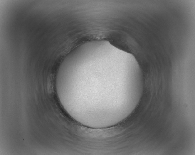 X0000062890030200601271659