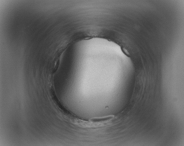 X0000062890031200601271659