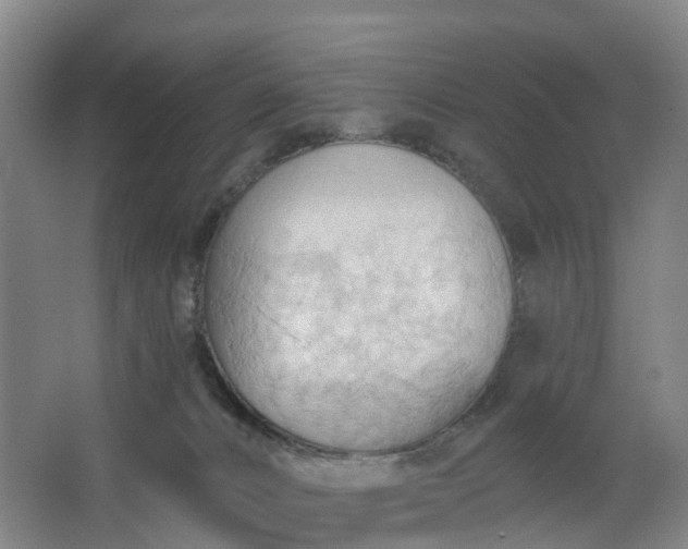 X0000062890032200601271659