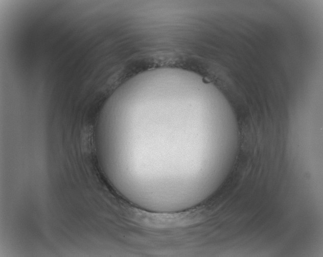 X0000062890034200601271659