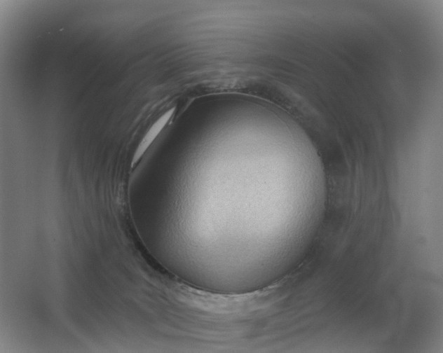 X0000062890035200601271659