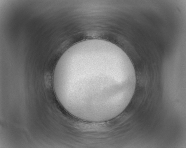 X0000062890036200601271659