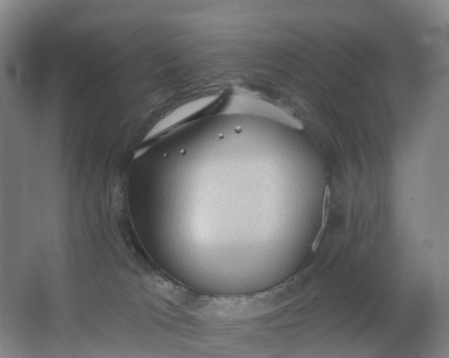 X0000062890037200601271659