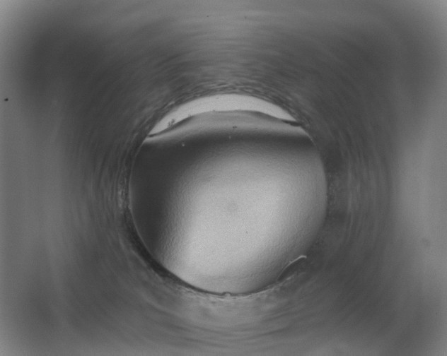 X0000062890039200601271659