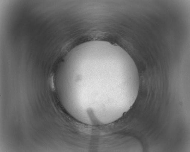 X0000062890042200601271659