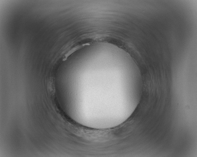 X0000062890044200601271659