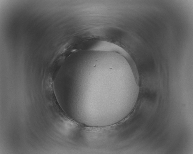 X0000062890045200601271659