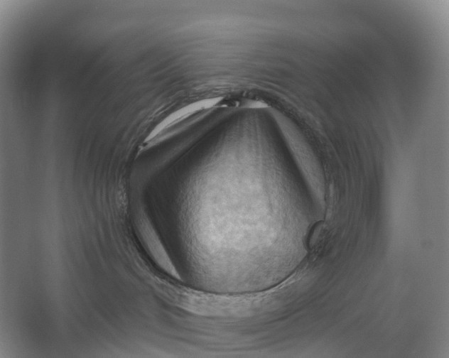 X0000062890048200601271659