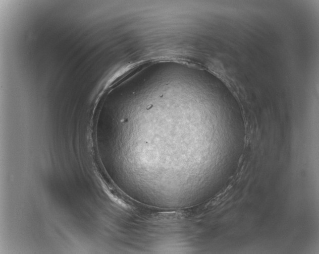 X0000062890050200601271658