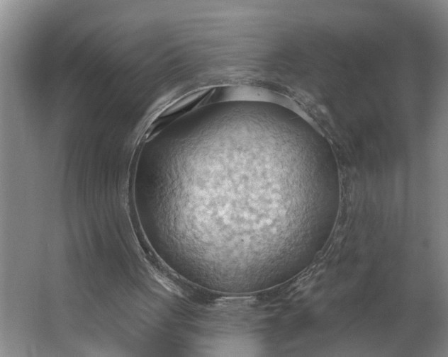 X0000062890051200601271658