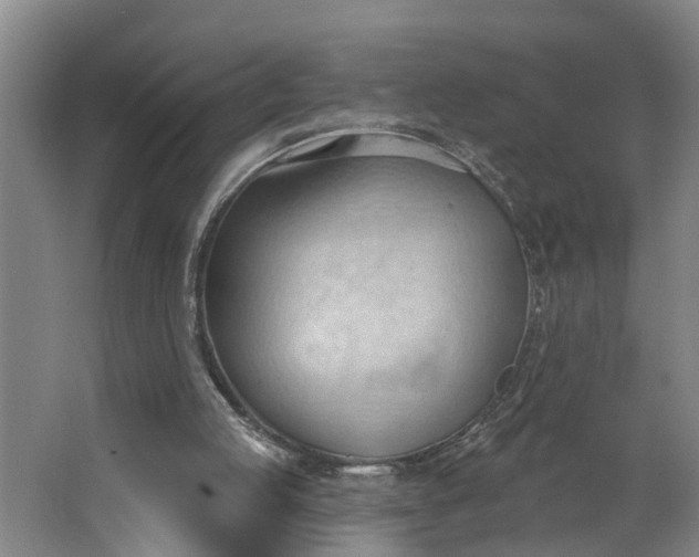 X0000062890053200601271658