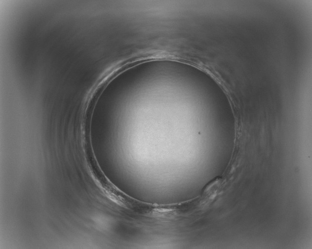 X0000062890055200601271658