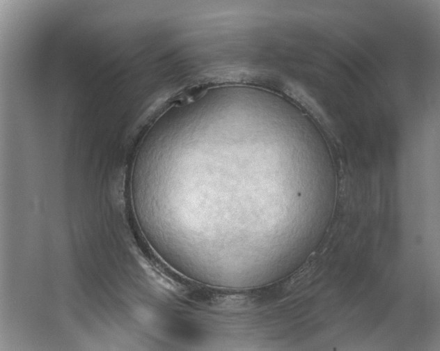 X0000062890058200601271658