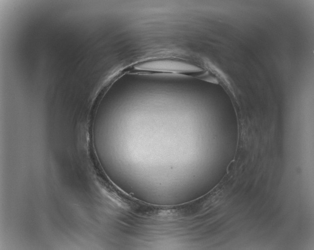 X0000062890059200601271658