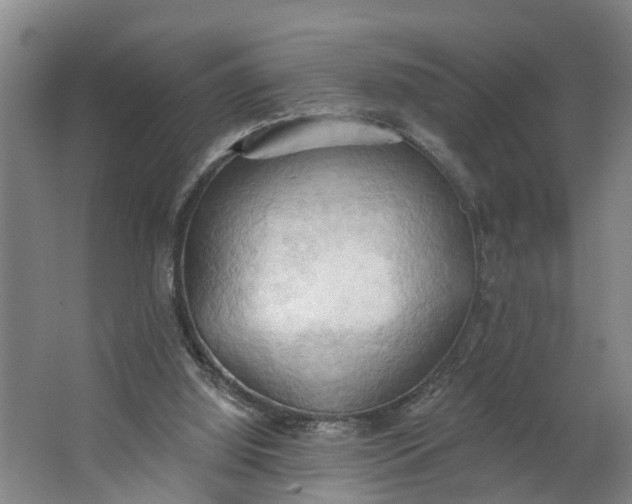 X0000062890060200601271658