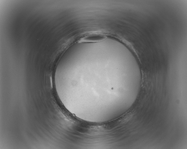 X0000062890061200601271658