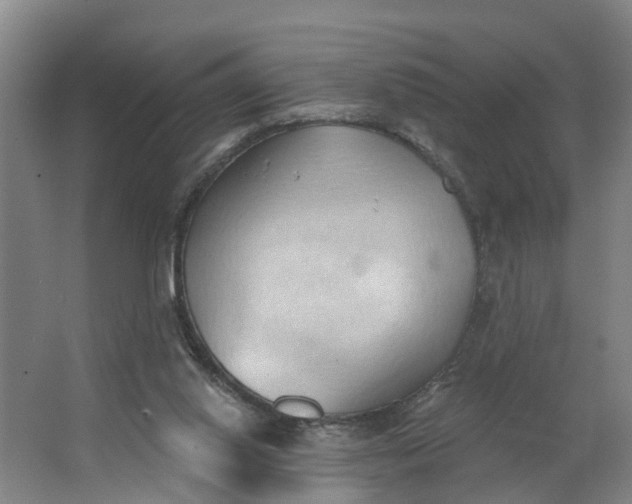 X0000062890062200601271658