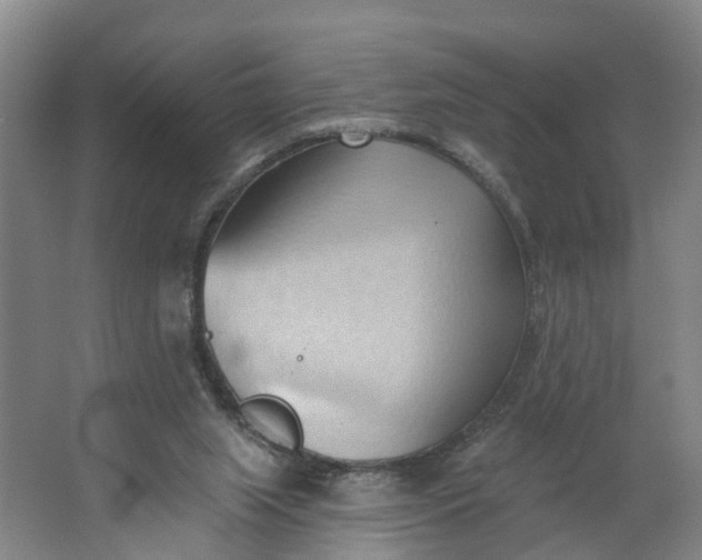 X0000062890063200601271658