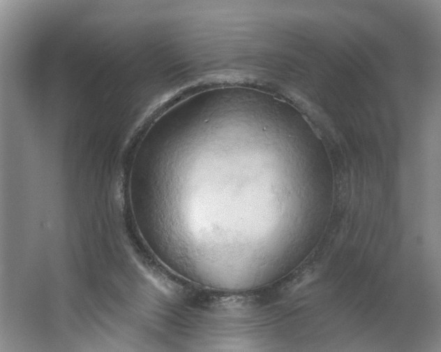 X0000062890064200601271658