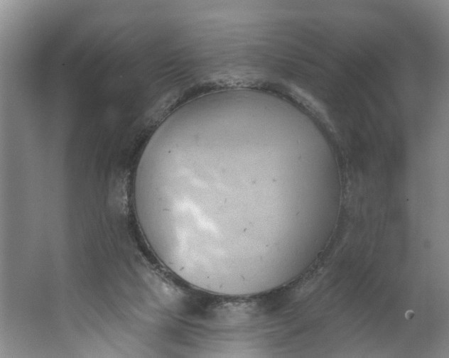 X0000062890065200601271658