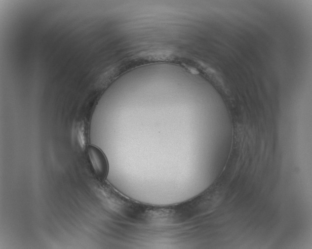 X0000062890069200601271658