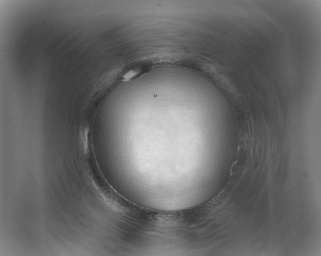 X0000062890070200601271658