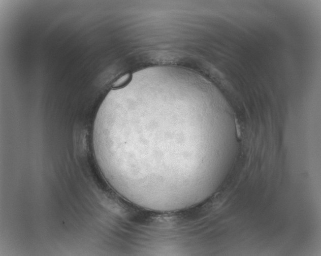 X0000062890071200601271658