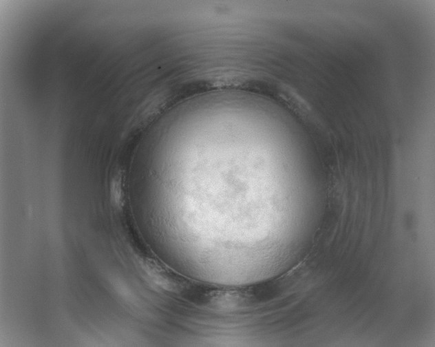 X0000062890074200601271658