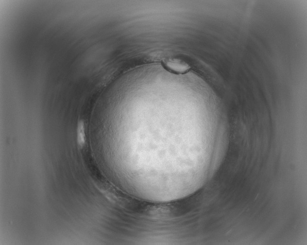 X0000062890075200601271658