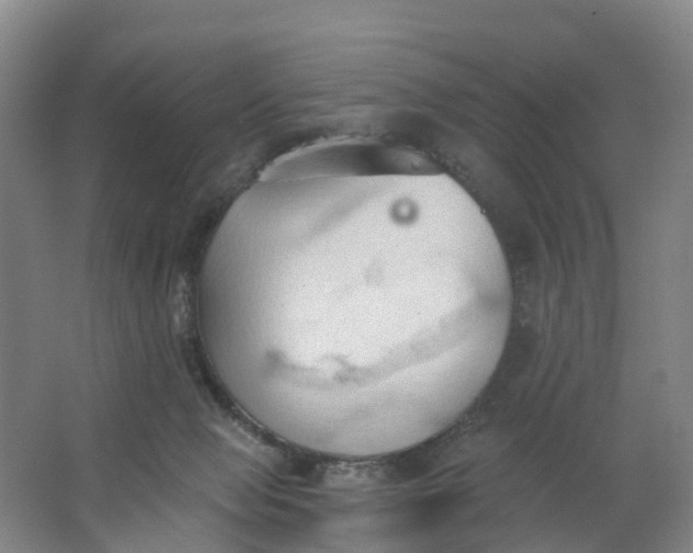 X0000062890077200601271658