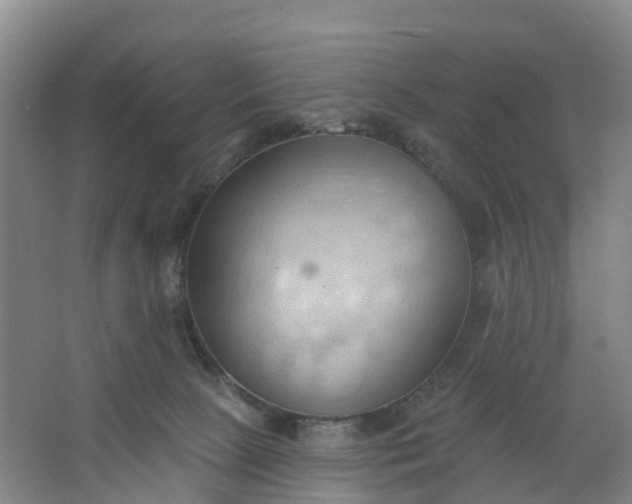 X0000062890081200601271658